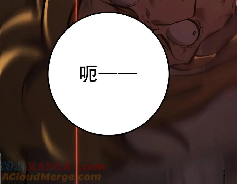 34256