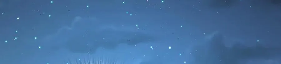 294123