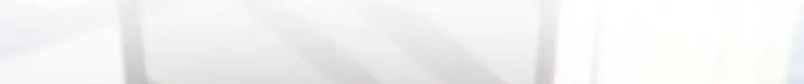 295118