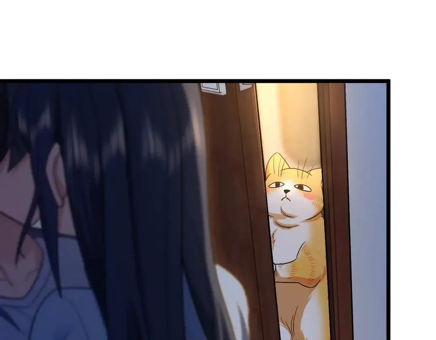 284117