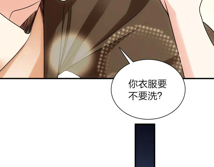 29081