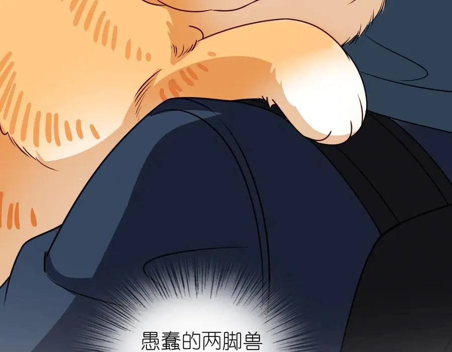 303161