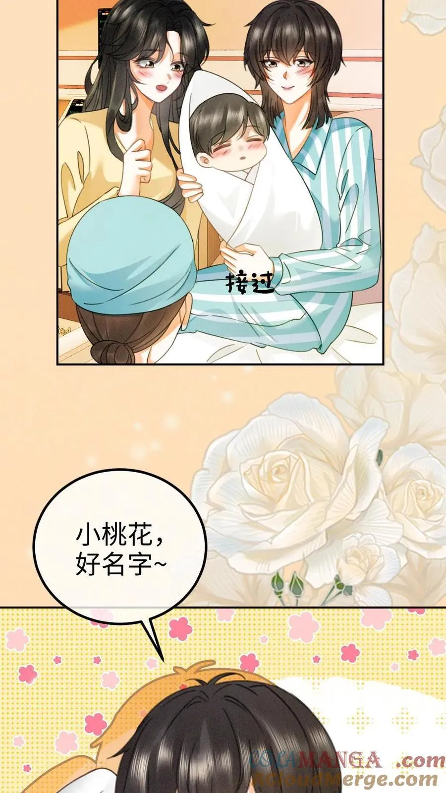 第365话 番外2 虞宝诞生记28