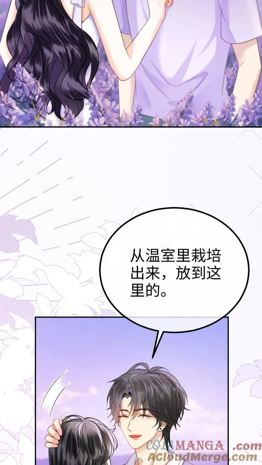 第377话 番外14 十里红妆 永远热恋10