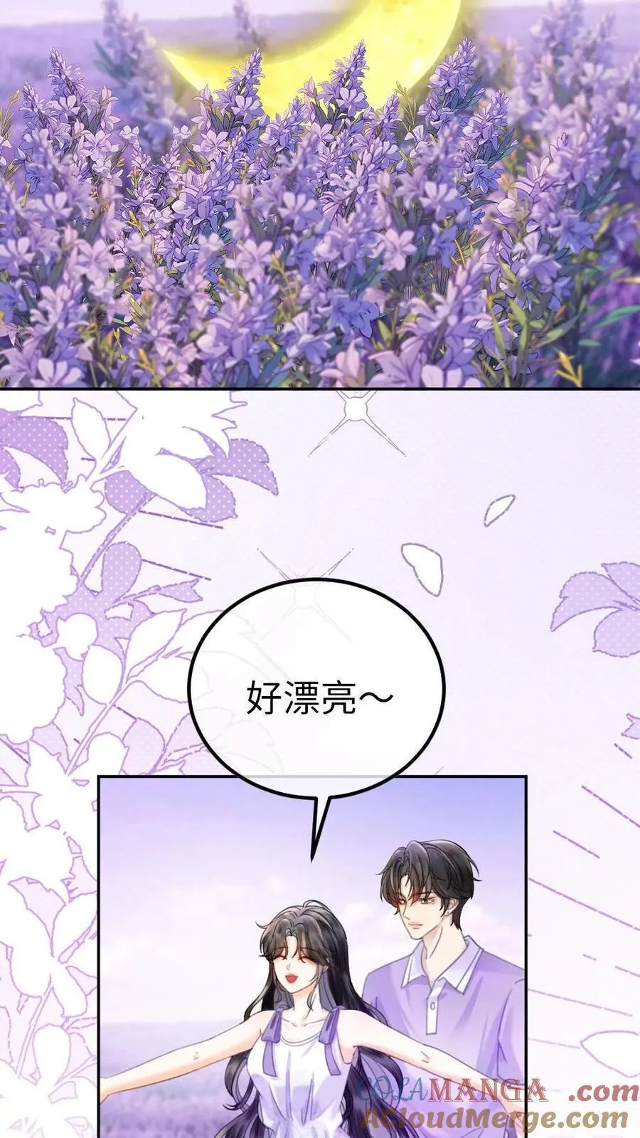 第377话 番外14 十里红妆 永远热恋8