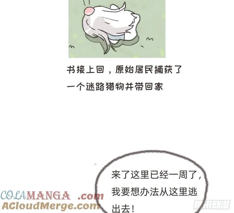 Ch.180 丛林小番外21