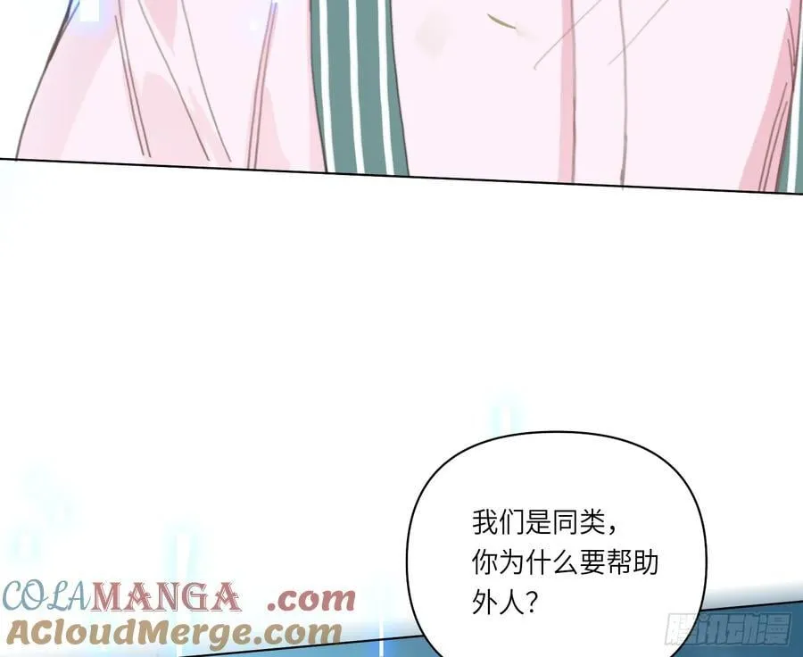预言弥散·118