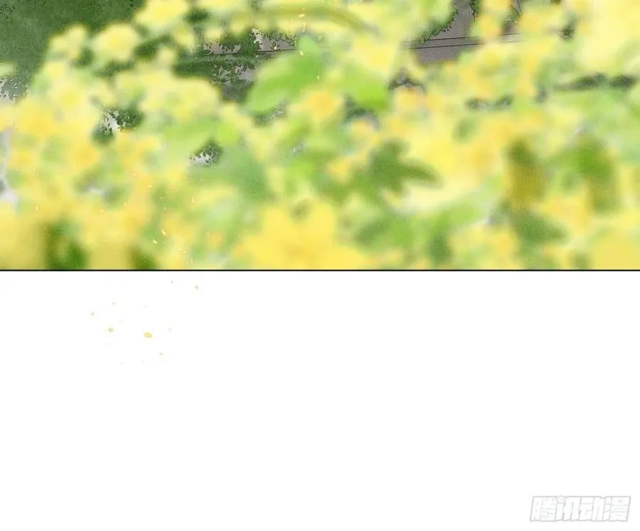 预言弥散·1355