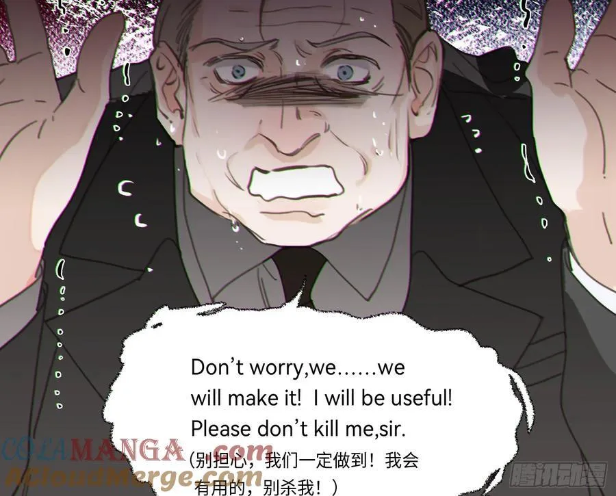 预言弥散·1684