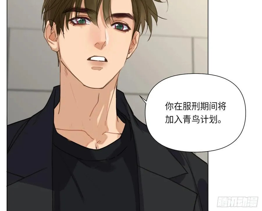预言弥散·143