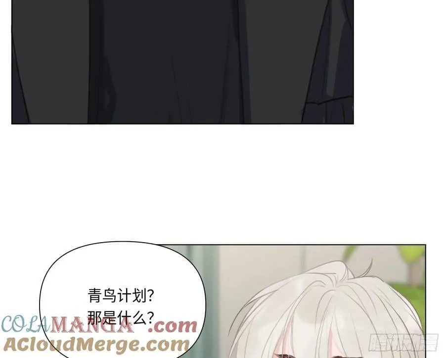 预言弥散·144
