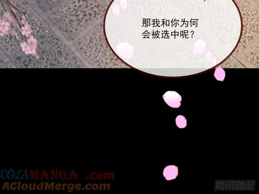 真相大白36