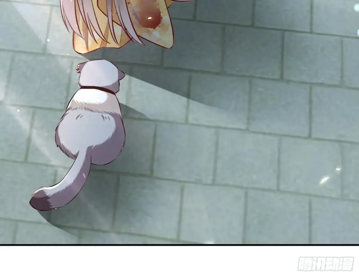 找到苏绿夏25