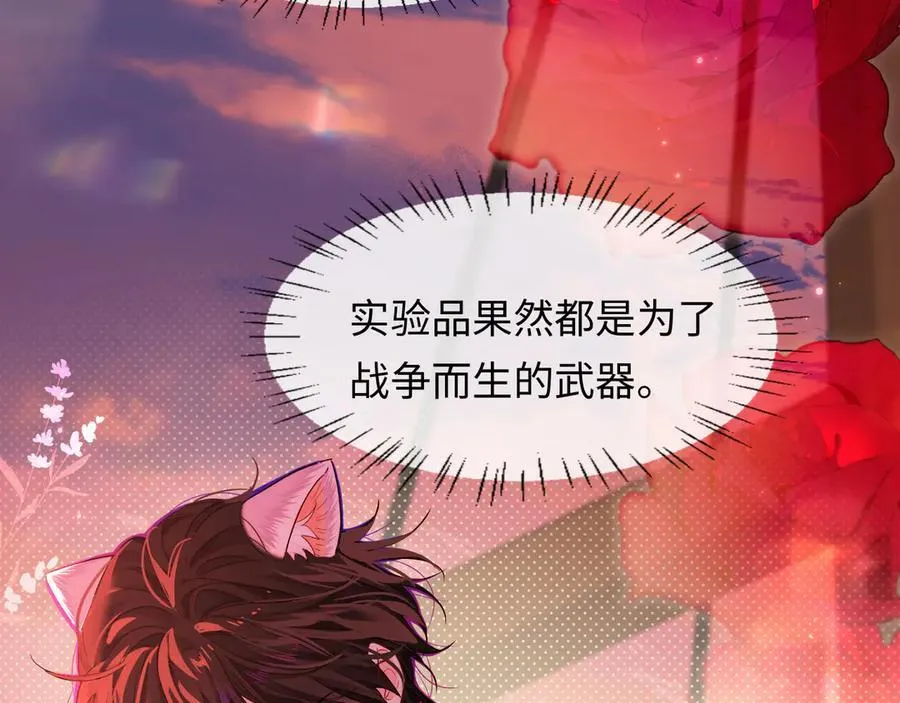 第113话 贝金，跟上9
