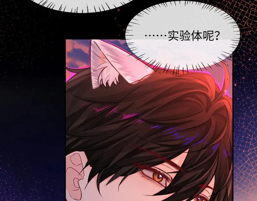 第113话 贝金，跟上86