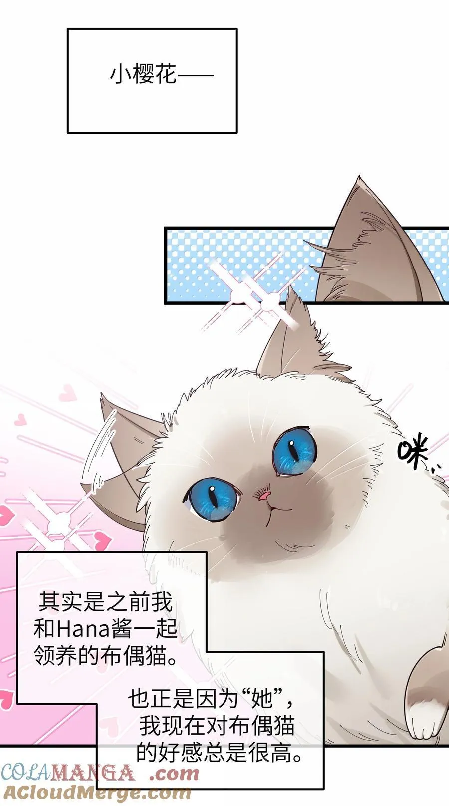 137 家里有只…猫娘？18