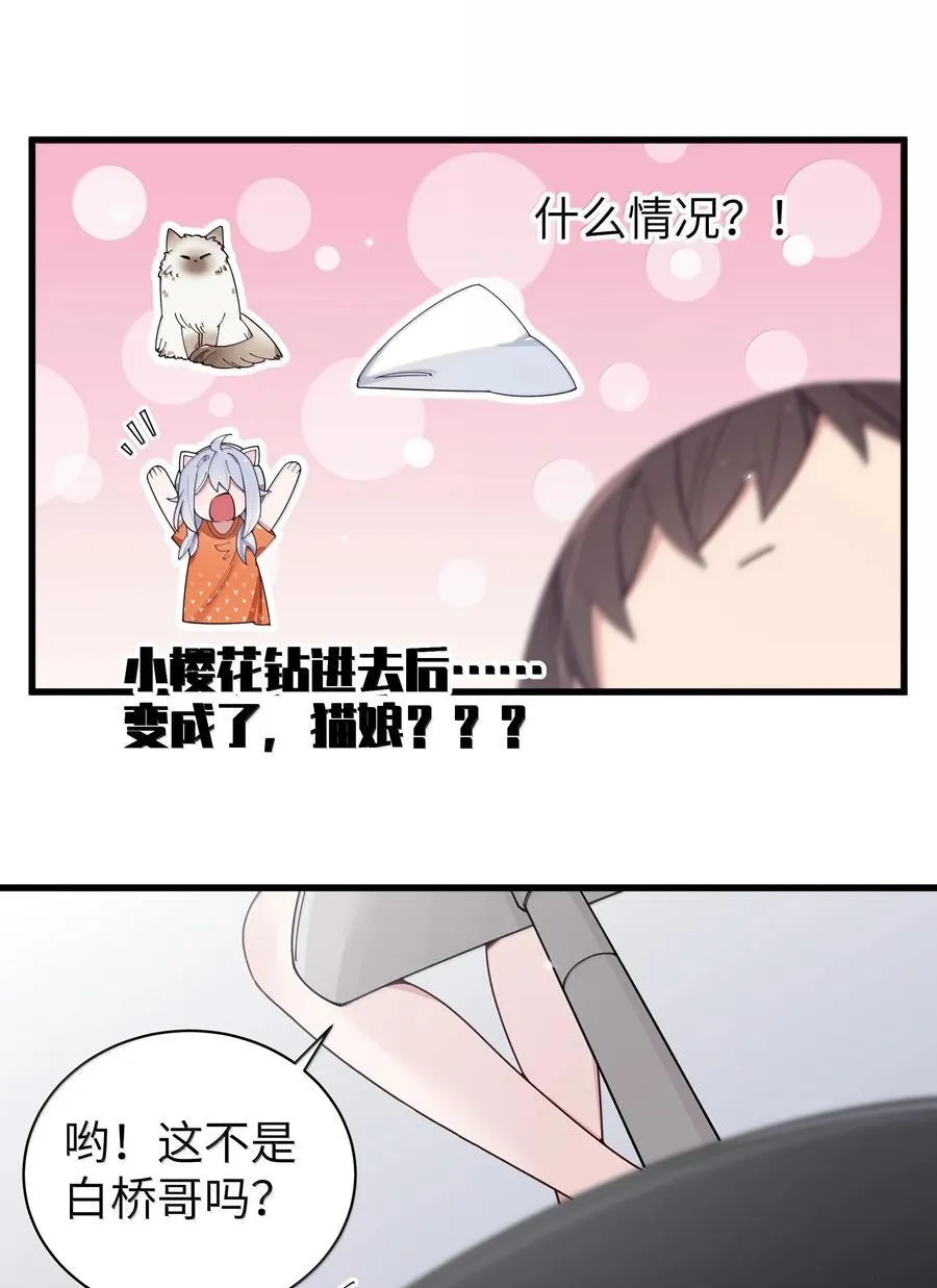 137 家里有只…猫娘？35