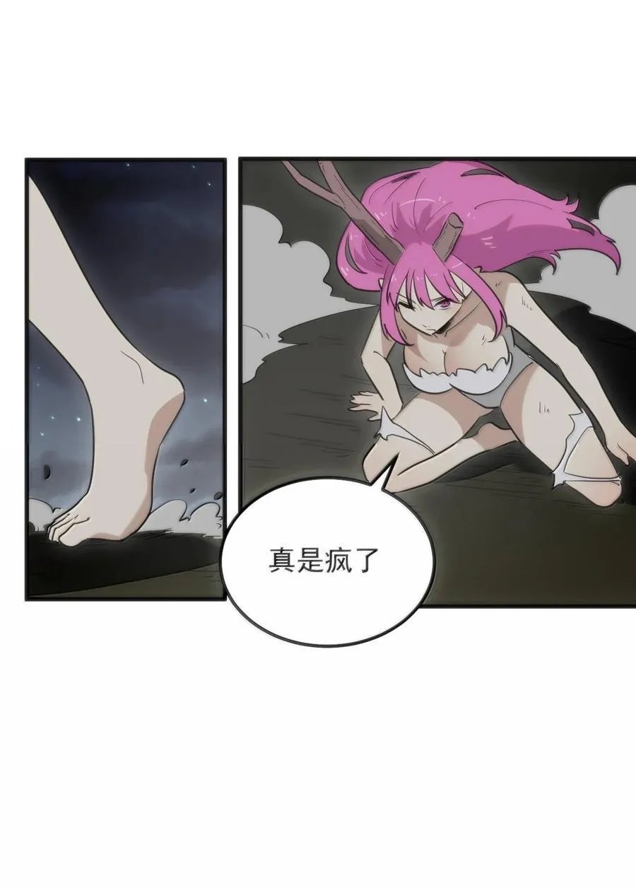 377 六尾凤40