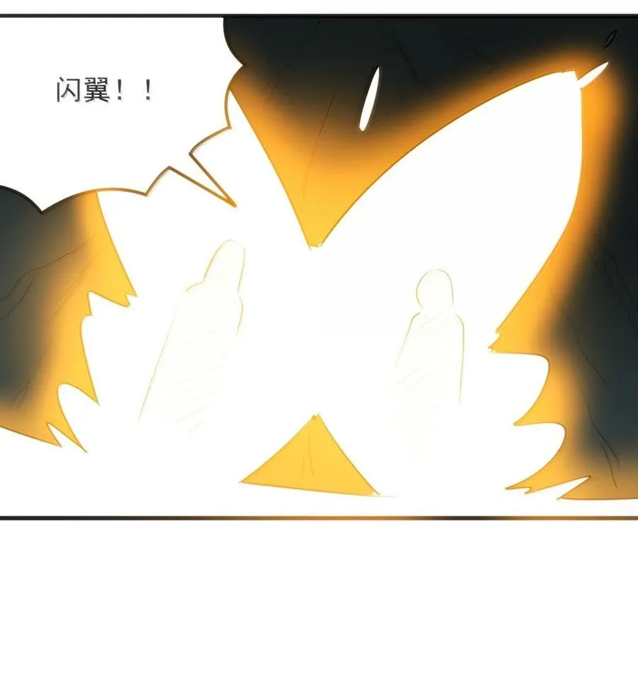 377 六尾凤4