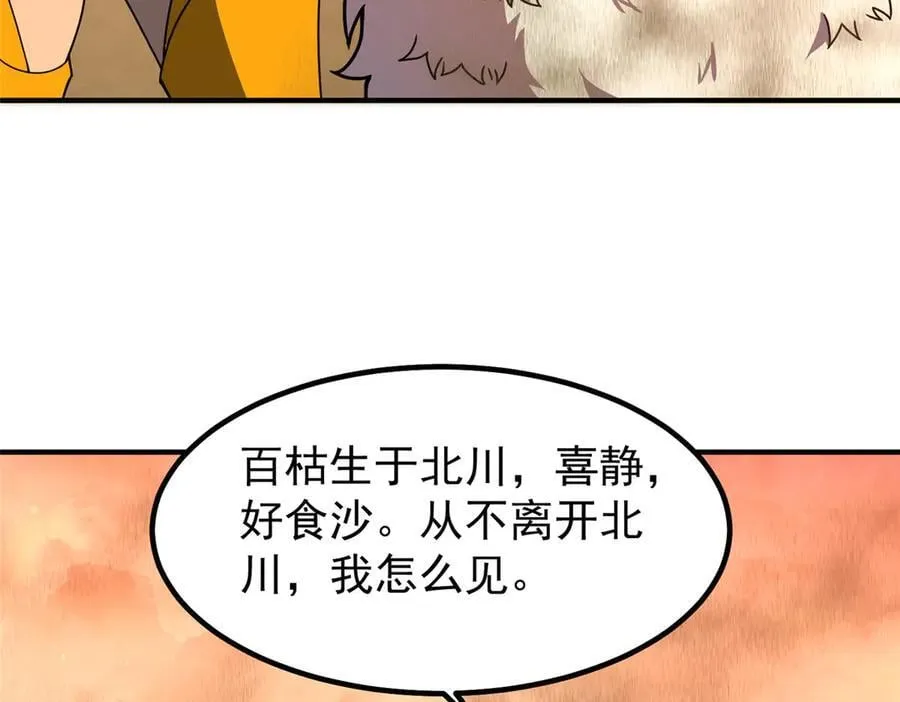 319 北川沙漠22