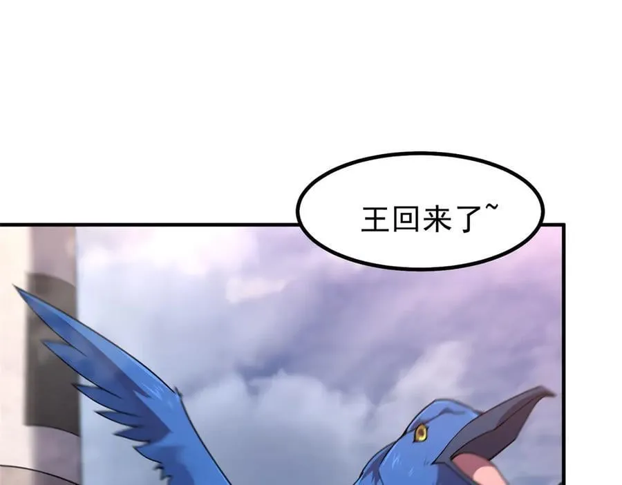 327 御兽的宠物2