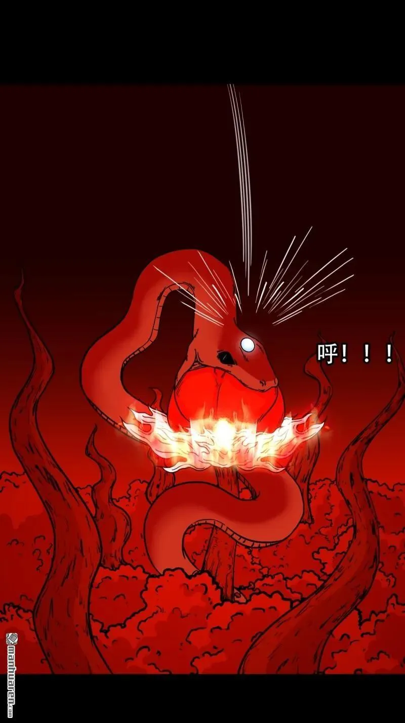 第295回 缘生五果7