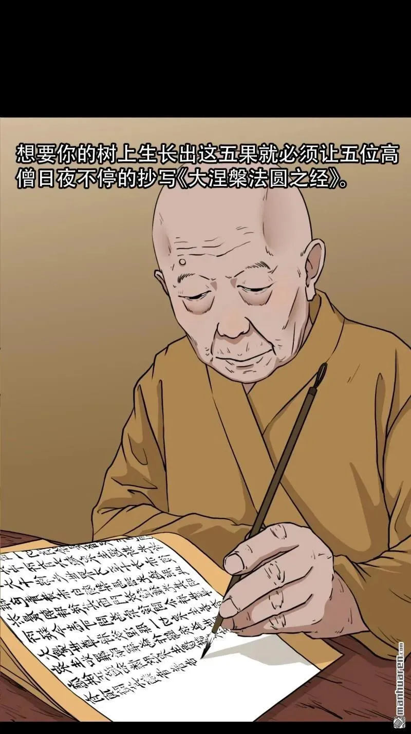 第295回 缘生五果41