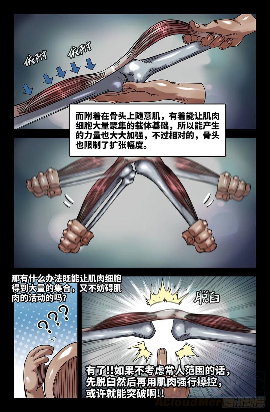 200- 肌肉骨头6
