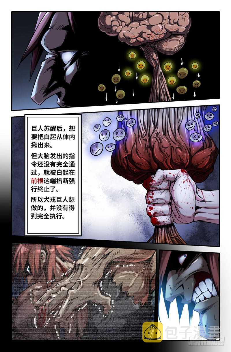 神经系统6
