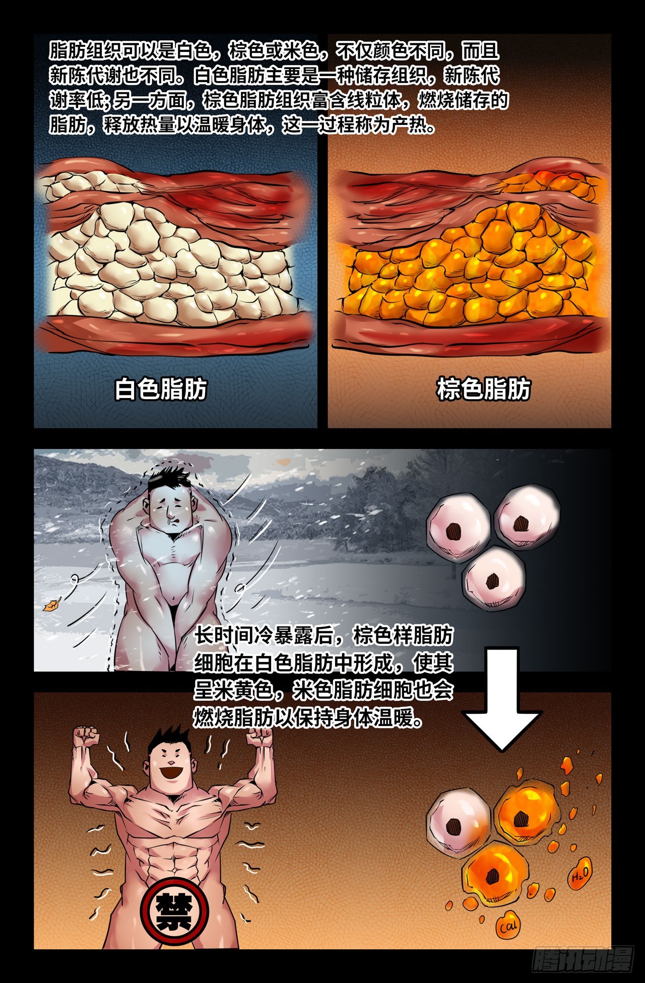125-Oct3抑制剂3