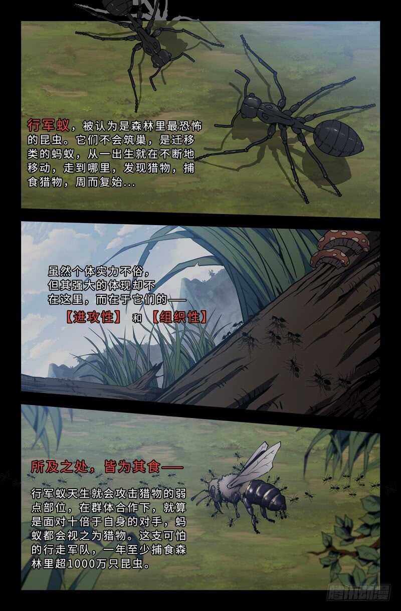 忧虑3