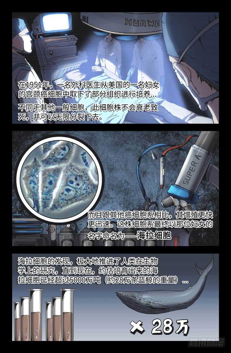 海拉细胞10