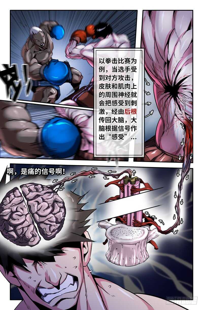神经系统2