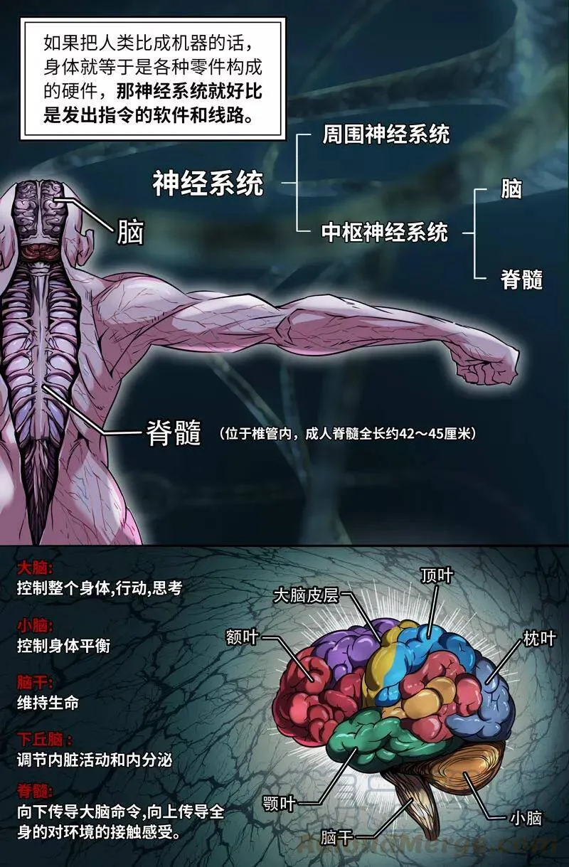 胜负已分 210