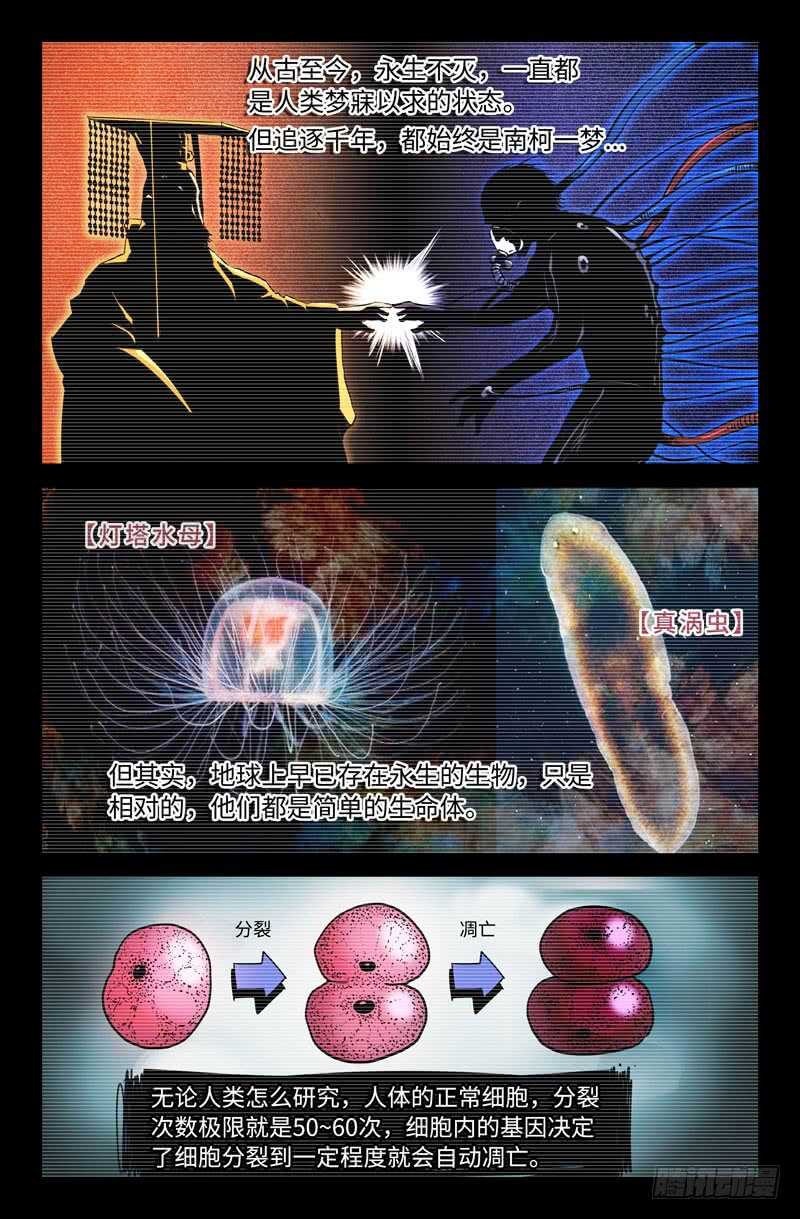 海拉细胞8