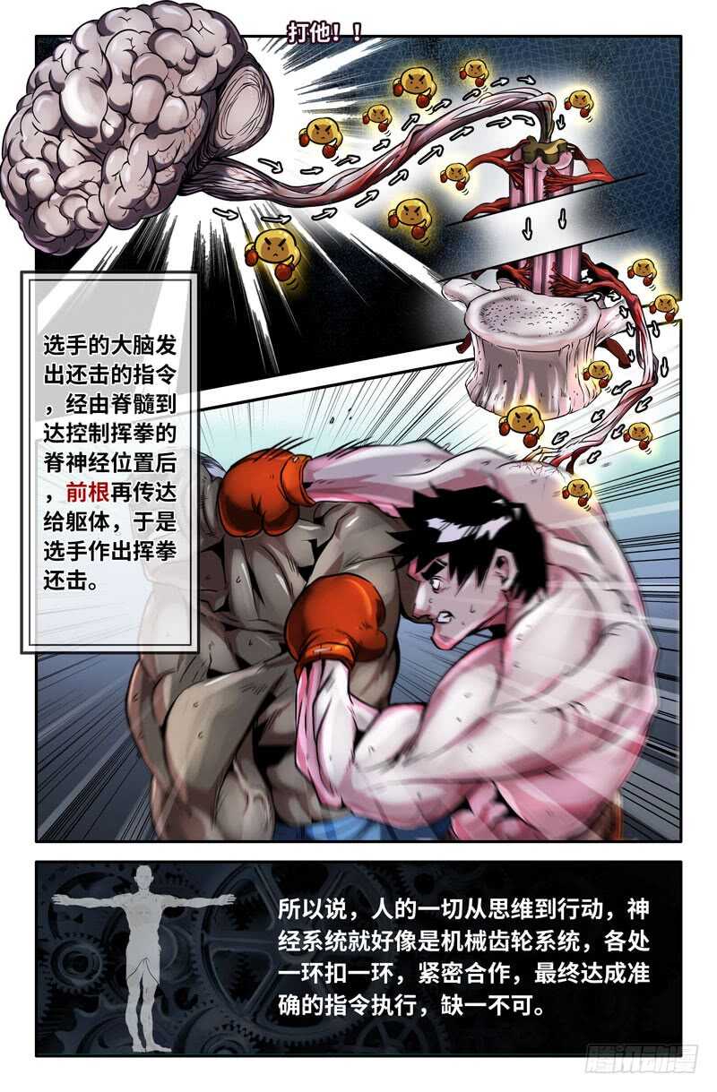 神经系统3