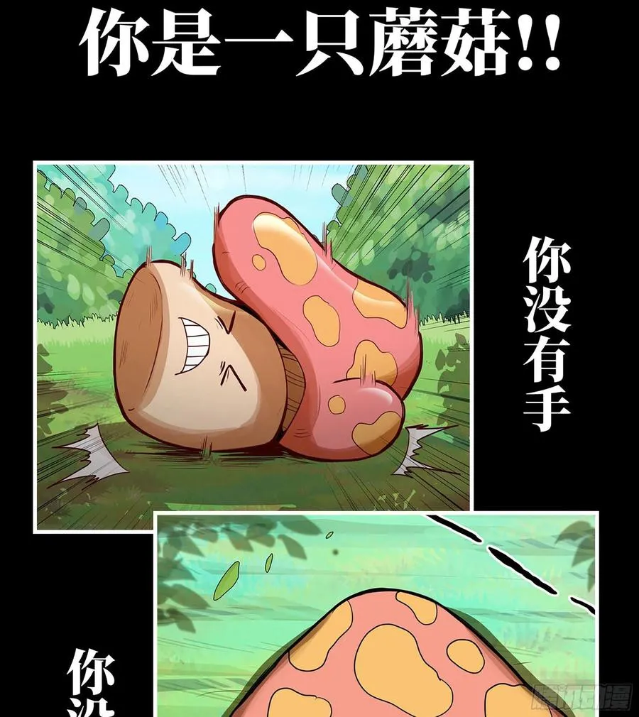 漫画推荐 211