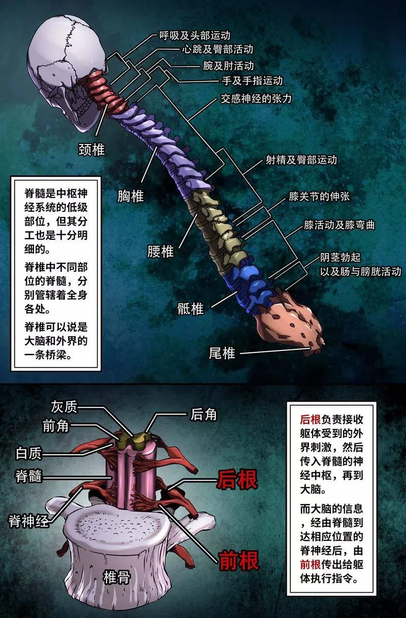 胜负已分 211