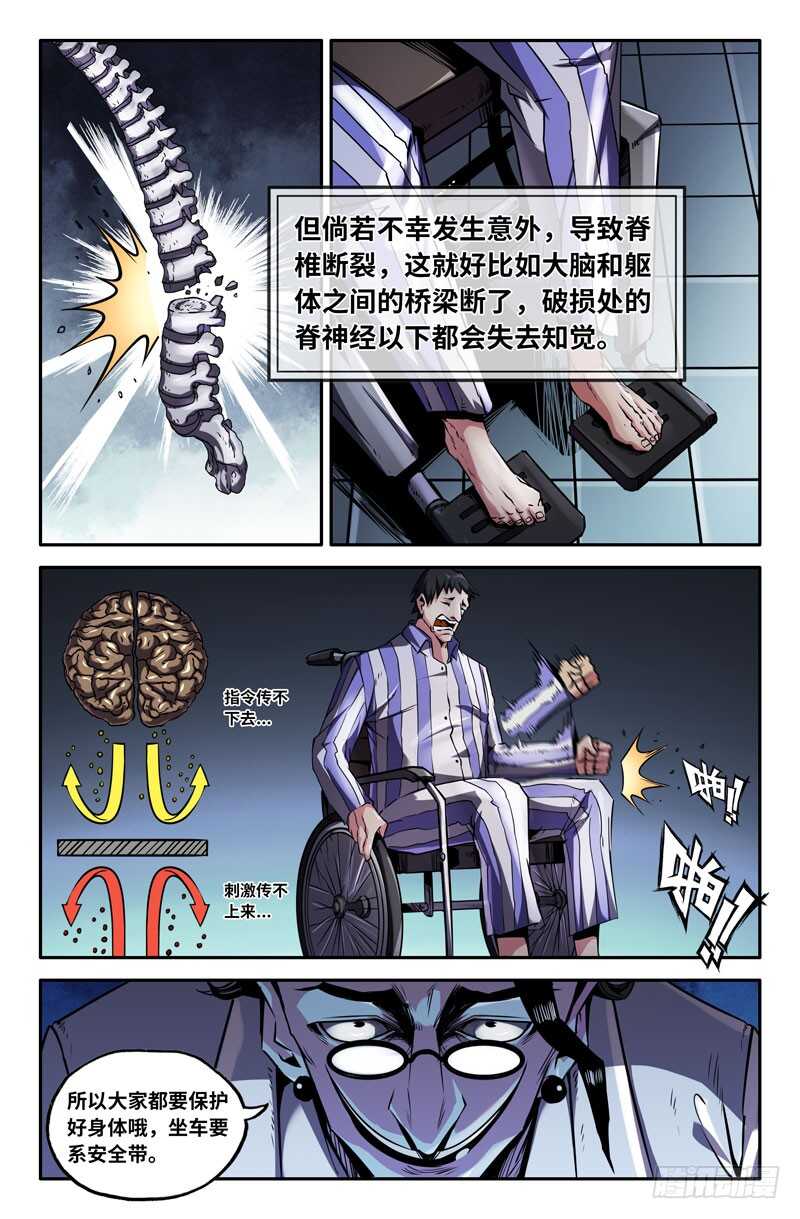 神经系统4