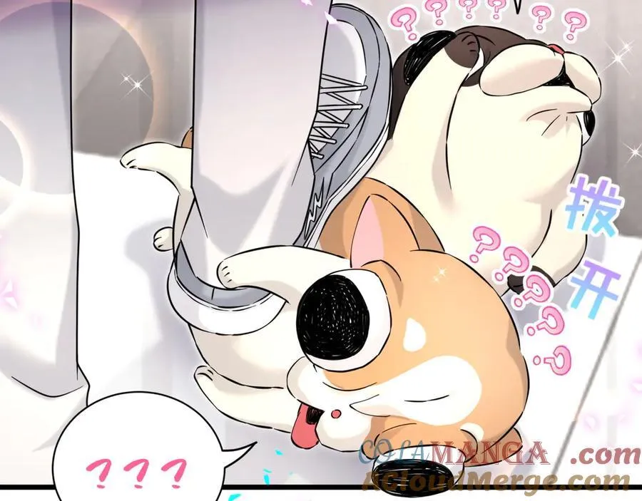 第287话 家有恶犬68