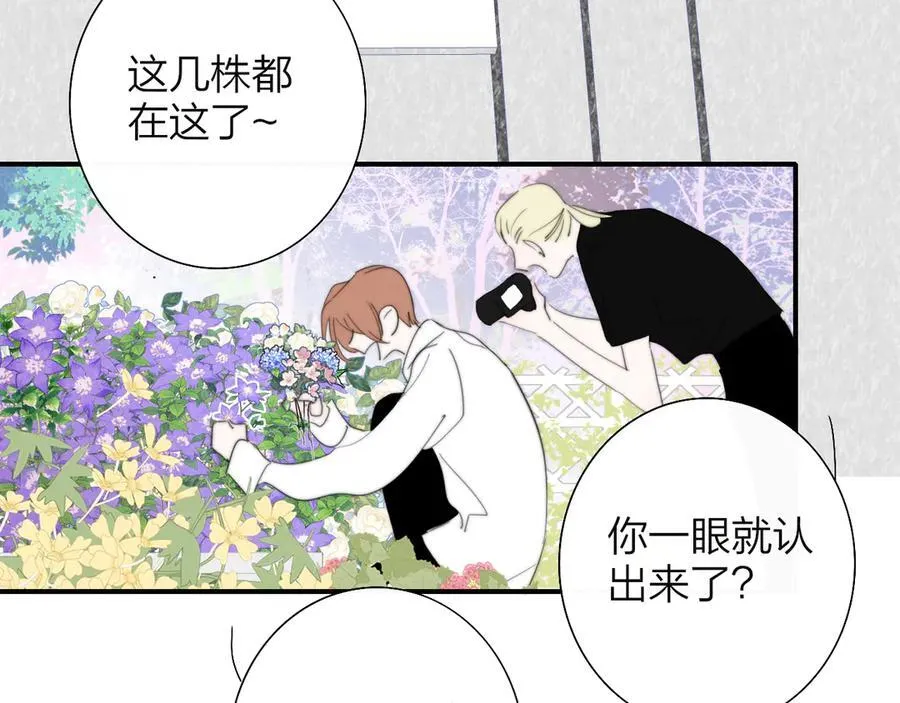 第91话 草地和他71