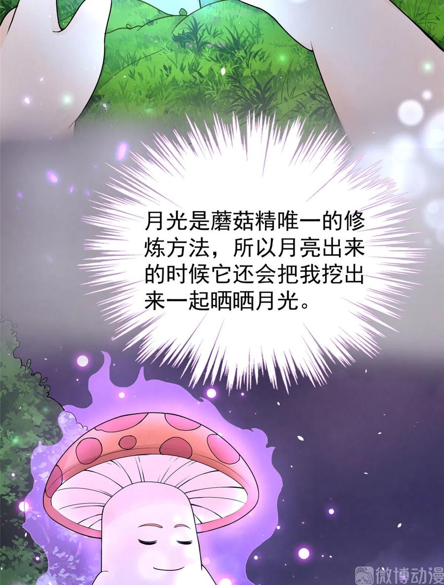 第125话 哪来的蘑菇精37