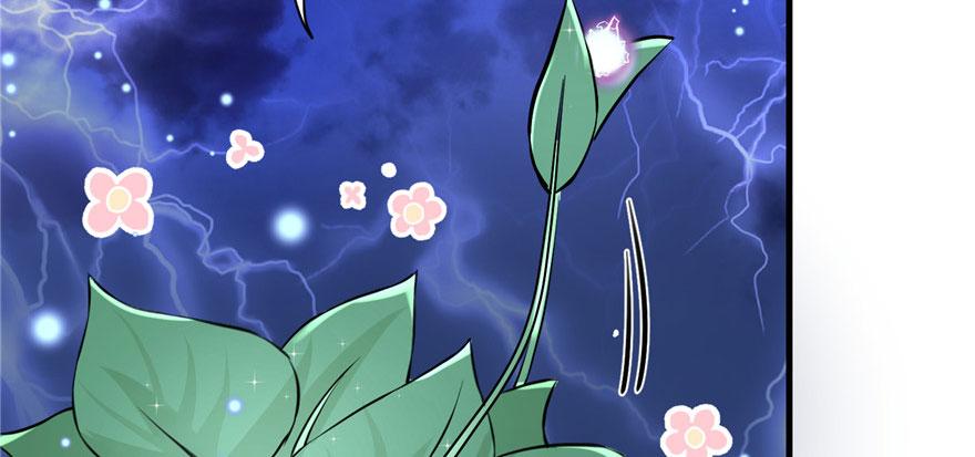 第41话 结婴进行时121