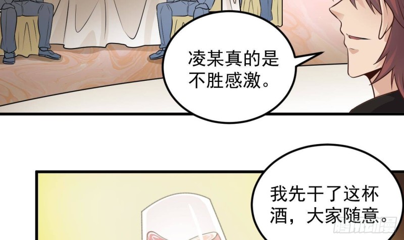 第163话 凌家的野心20