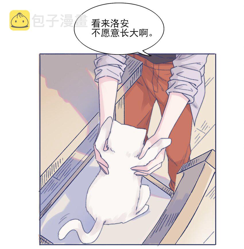 001 感谢你的收留41