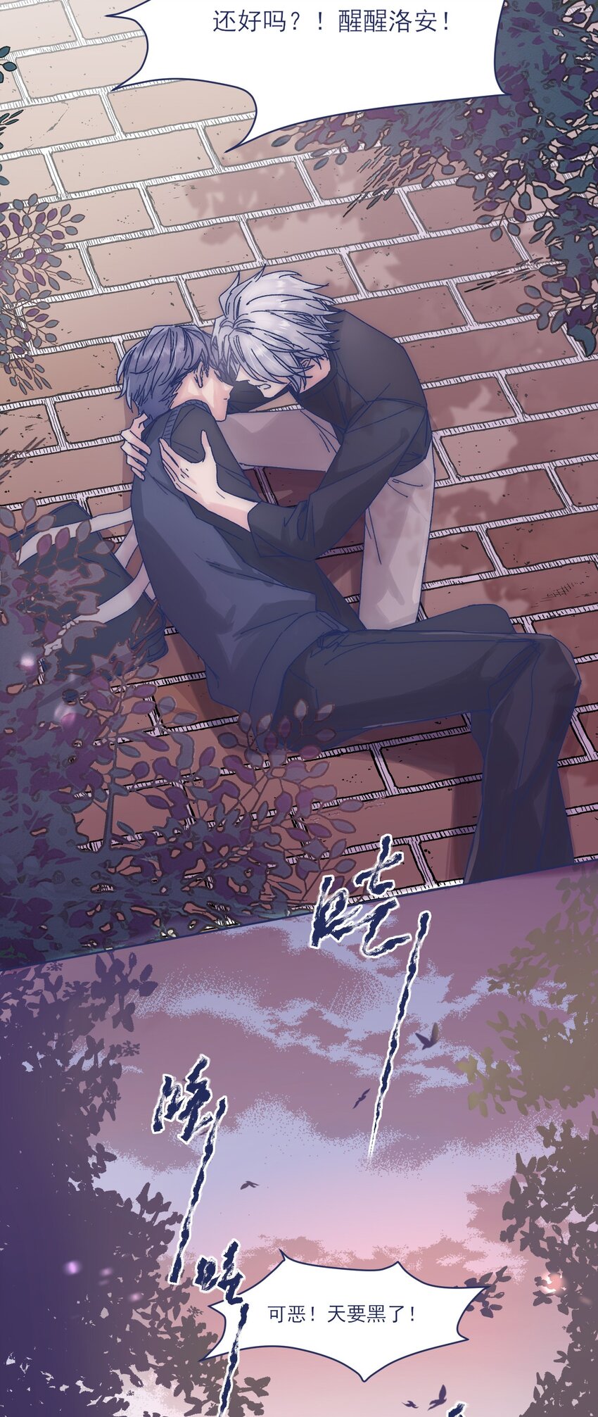 017 危机来临6
