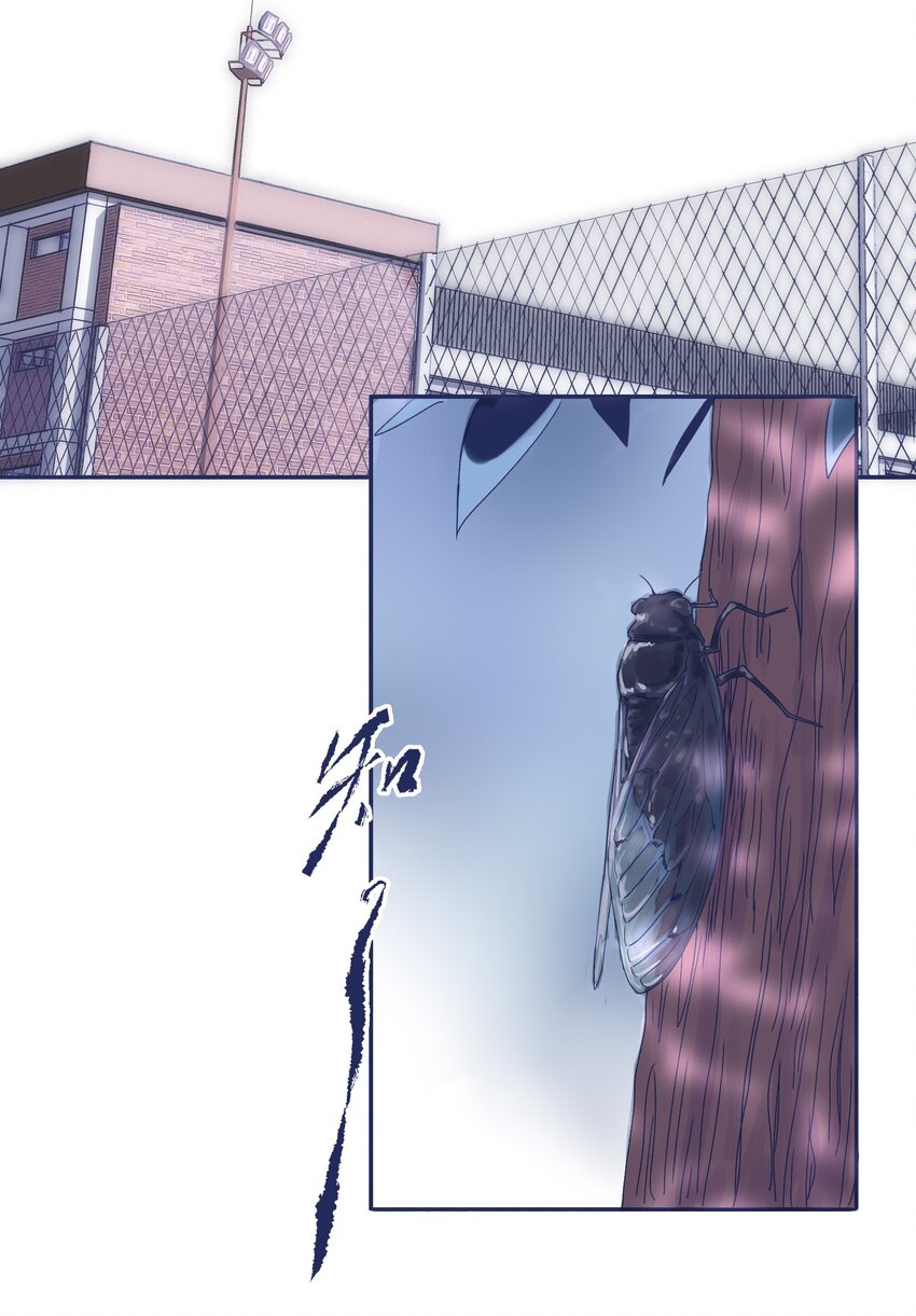 005 当普通人好难4
