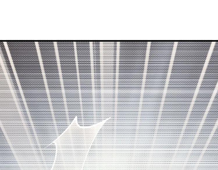 第70话  圆满大婚26