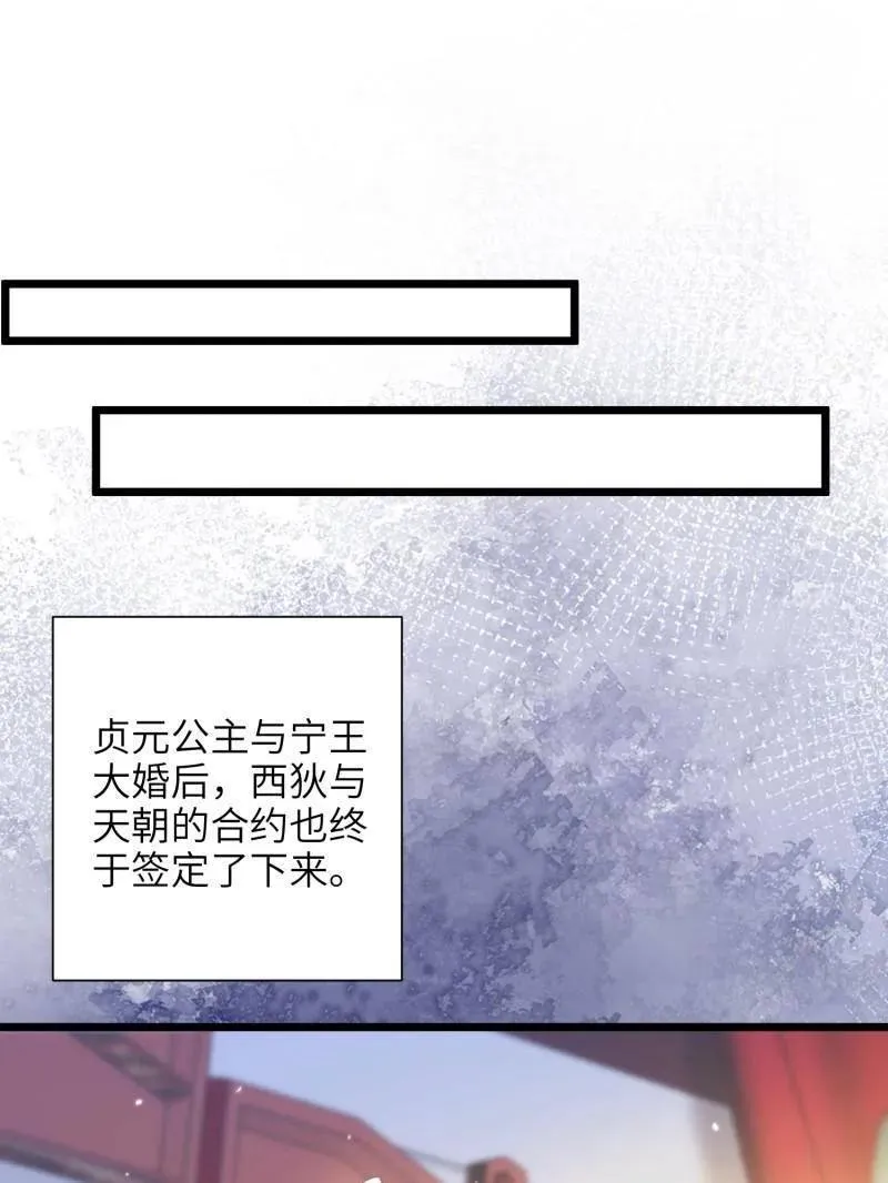 第399话 宁王的真心29