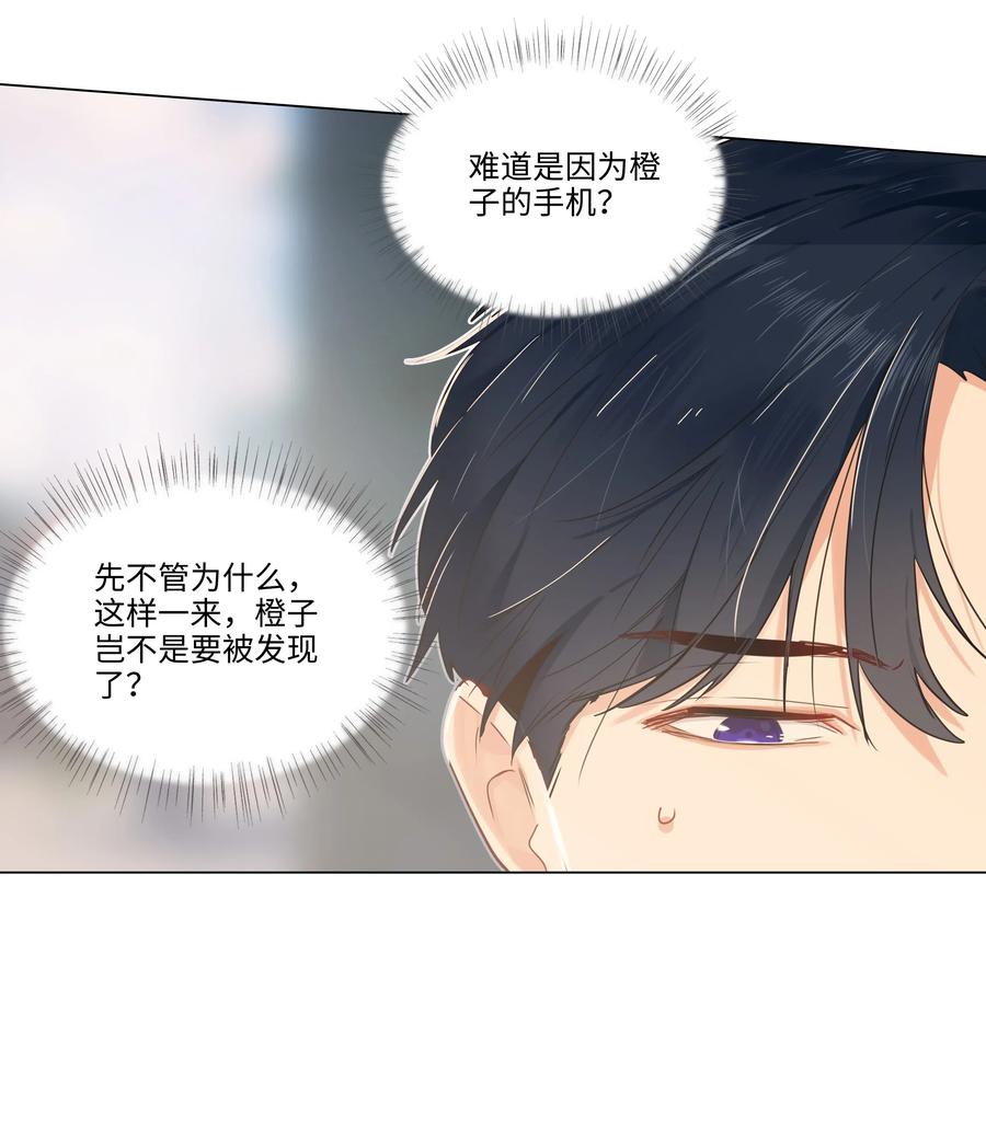 041 顾总怎么来了？！11